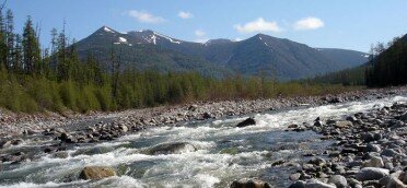 Буреинский природный заповедник Буреинский заповедник