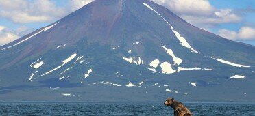 Вид на Камчатку летом Камчатка летом