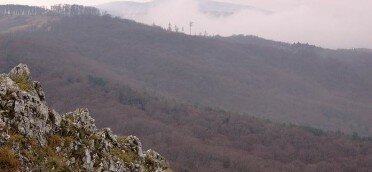 Вид на Зейский заповедник Зейский заповедник осенью